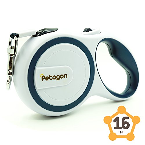 Algopix Similar Product 13 - 