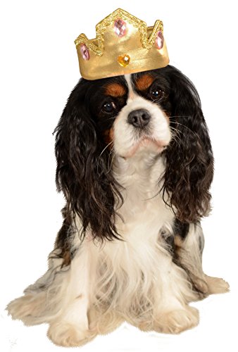 

Rubies Pet Princess Halloween Costume Gold Dog Hat Tiara