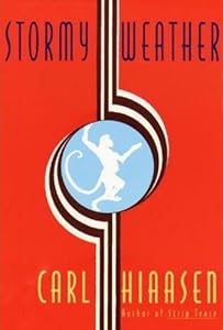 Stormy Weather (Skink Book 3)