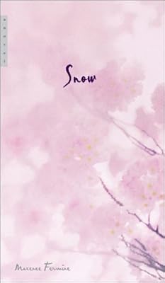 Snow : A Novel