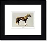 Mustang Robert James Ford w/ 2 in Black wood frame & white mat – 19.75×17″”