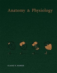Anatomy & Physiology