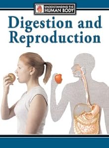 Digestion and Reproduction (Understanding the Human Body)