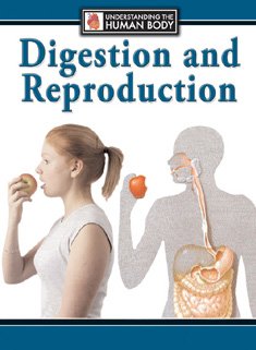 Digestion and Reproduction (Understanding the Human Body) by Steve Parker