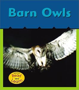 Barn Owls