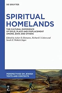 Spiritual Homelands: The Cultural Experience of Exile, Place and Displacement among Jews and Others (Perspectives on Jewish Texts and Contexts Book 12) by Asher D. Biemann