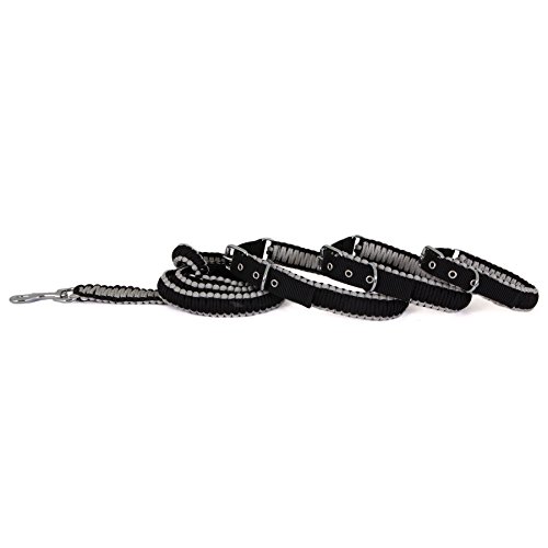 Algopix Similar Product 5 - Aspen Pet Paracord Leash Black 34 x