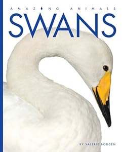 Swans (Amazing Animals (Creative Education Hardcover))