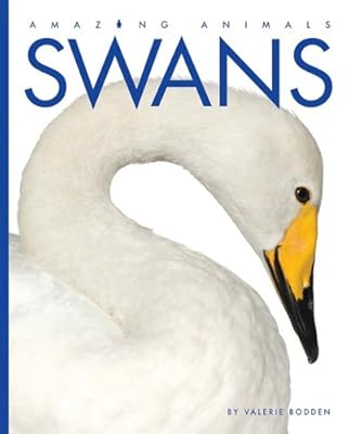 Swans (Amazing Animals (Creative Education Hardcover))