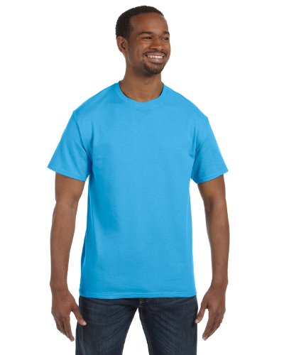Hanes mens 6.1 oz. Tagless T-Shirt(5250)