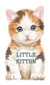 Little Kitten