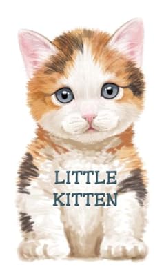 Little Kitten