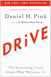 Drive: The Surprising Truth About What Motivates Us