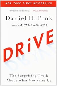 Drive: The Surprising Truth About What Motivates Us by Daniel H. Pink