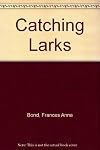 Catching Larks