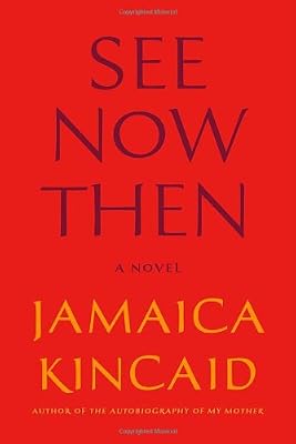 See Now Then: A Novel