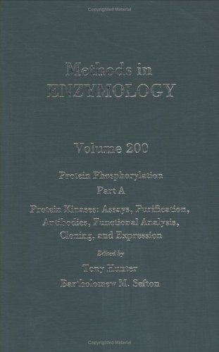 Methods in Enzymology, Volume 200: Protein Phosphorylation, Part A: Protein Kinases: Assays, Purification, Antibodies, Functional Analysis, Cloning, and Expression by John N. Abelson