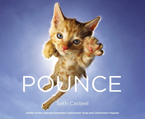 Pounce by Seth Casteel
