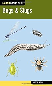 Bugs &amp; Slugs