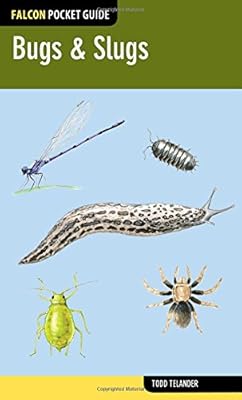 Bugs &amp; Slugs
