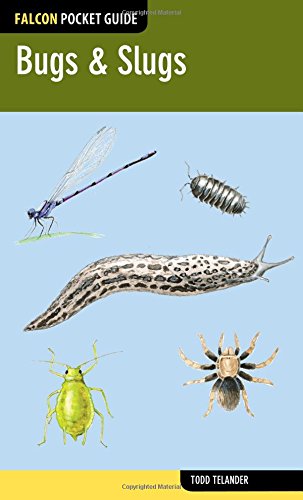 Bugs &amp; Slugs by Todd Telander