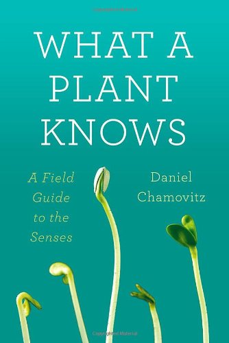 What a Plant Knows: A Field Guide to the Senses by Daniel Chamovitz