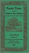 Forest Trees of Southern New England