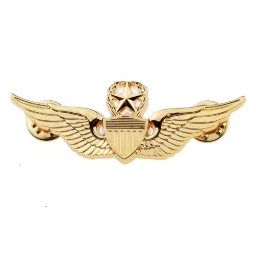 Generic Men's USAF Wings Military Command Pilot Metal Wings Metal Badge Pin