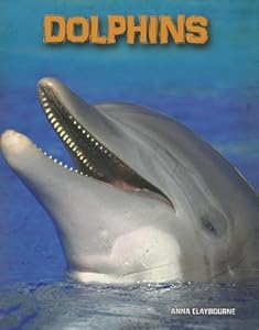 Dolphins