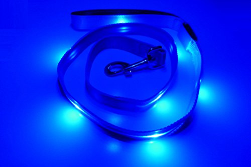 GoDoggie-GLOW Rechargeable USB Dog Leash, Blue