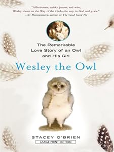 Wesley the Owl: The Remarkable Love Story of an Owl and His Girl by Stacey O'Brien