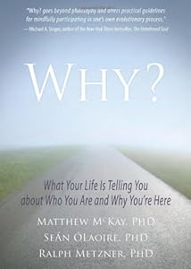 Why?: What Your Life Is Telling You about Who You Are and Why You're Here