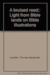 A Bruised Reed: Light from Bible Lands on Bible Illustrations