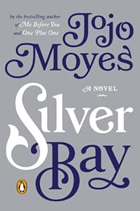 Silver Bay: A Novel