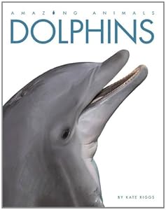 Dolphins