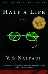 Half a Life: A Novel
