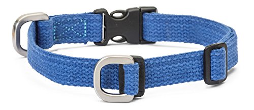 Algopix Similar Product 5 - 