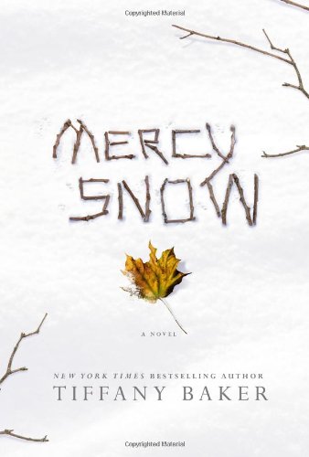 Mercy Snow: A Novel by Tiffany Baker
