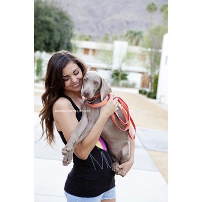 

Sailboat Striped Dog Collar Size: X-Large ( 24" H x 1" W x 2" D), Color: Tropical Breeze