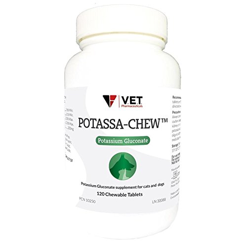 Algopix Similar Product 10 - PotassaChew  Chewable Potassium