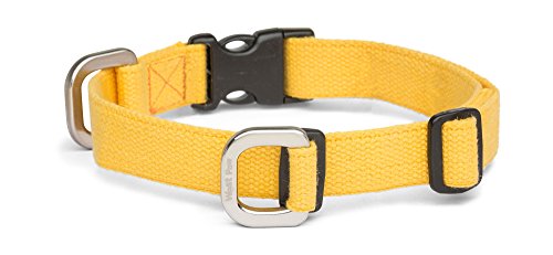 Algopix Similar Product 2 - 