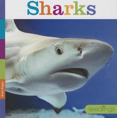 Sharks by Kate Riggs