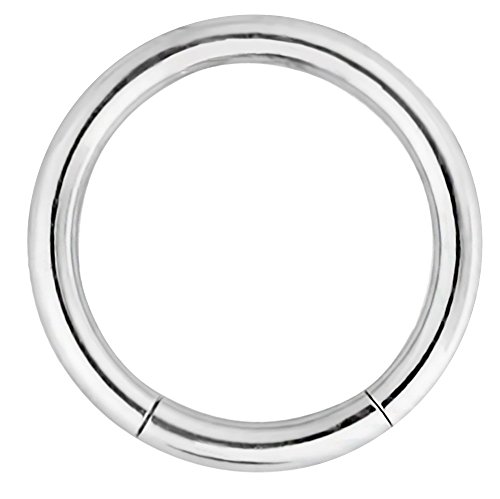 16g 5/16 Inch Surgical Steel Segment Hoop Ring Circular Barbell