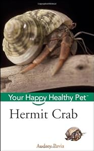 Hermit Crab: Your Happy Healthy Pet