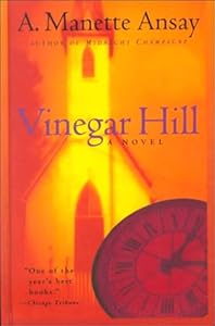 Vinegar Hill: A Novel