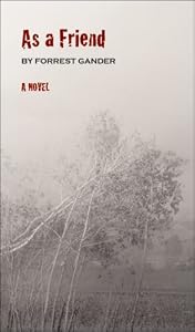 As a Friend: A Novel