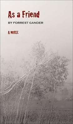 As a Friend: A Novel