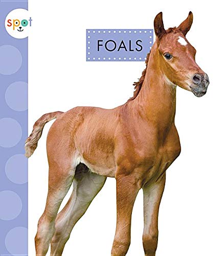 Algopix Similar Product 18 - Foals (Spot Baby Farm Animals)