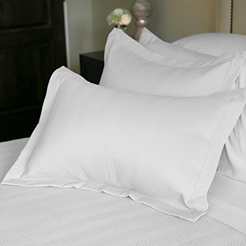 Algopix Similar Product 16 - Jennifer Adams Home Eternal Matisse