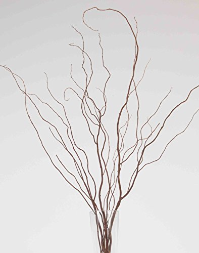 Green Floral Crafts Dried Curly Willow 3-4 Ft Tall, Bunch of 8-10, 3-tone Brown